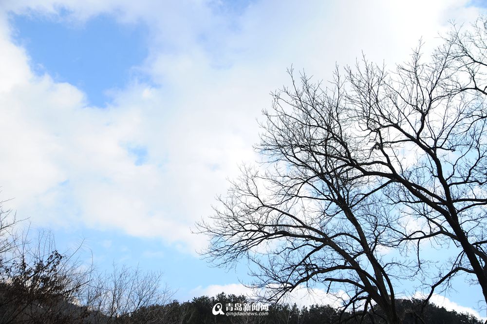 高清:晒冬日崂山素颜美照 感受最纯粹的青岛蓝