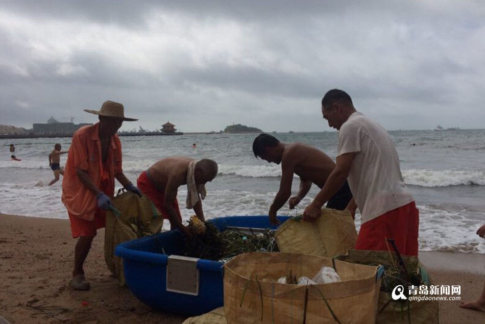 快讯：浪高1米 金沙滩海水浴场今天关闭一整天