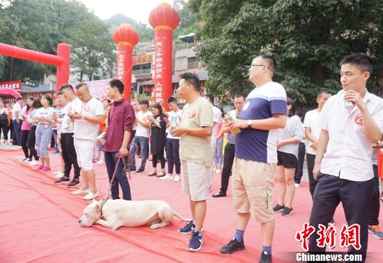 洛阳近百名单身男女齐聚菩提树下求脱单(图)