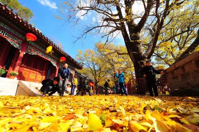 最舒服的季节来了 上山下海玩转20度的青岛