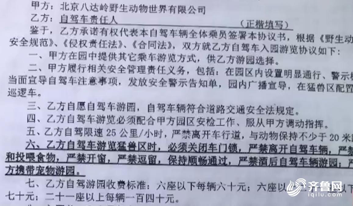 熊咬人事件当事人：园方捏造事实 没要赔偿