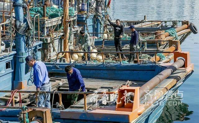 休渔期即将结束青岛397艘渔船违规作业被查