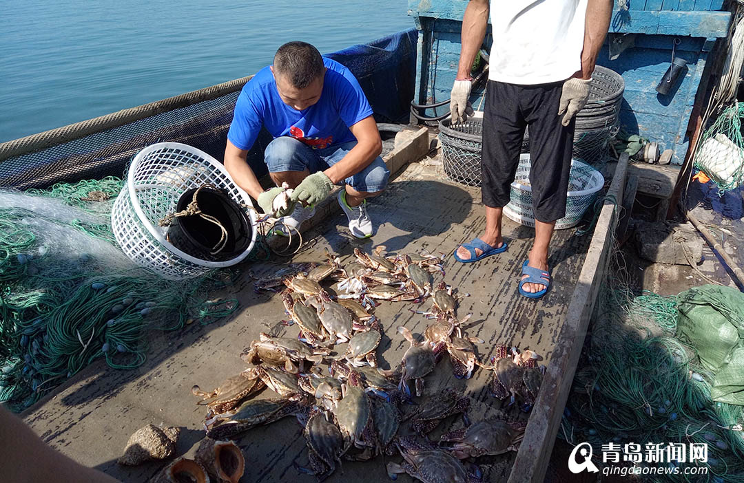 新鲜出炉：12点准时开海 记者带来现场照片