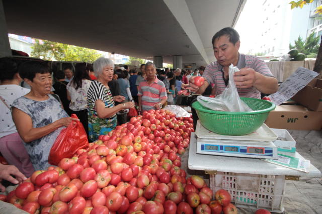 今年55岁的老荆在现场卖西红柿,一天能卖1千多斤,但早市关闭退路进