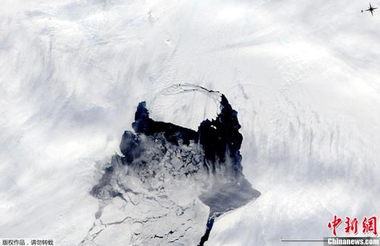 南极冰山下有温暖洞穴 可能秘藏未知物种(图)
