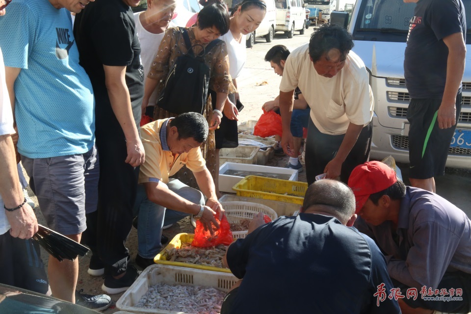 探访开海后的青岛海鲜市场 种类繁多价格实惠