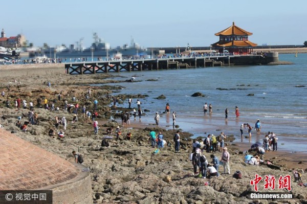 组图：青岛退大潮 市民扎堆栈桥海滩挖蛤蜊