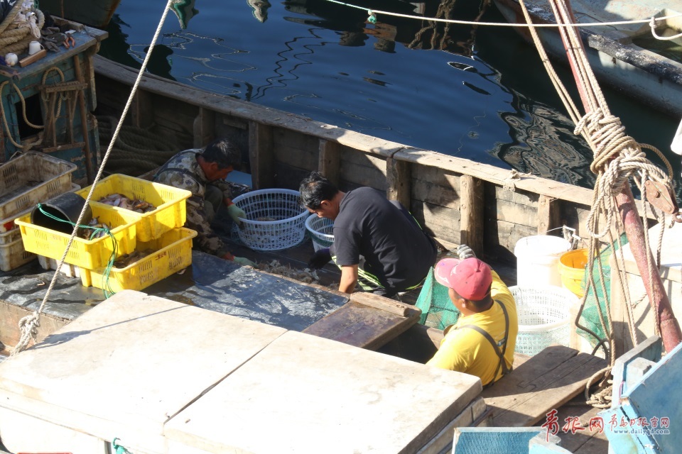 探访开海后的青岛海鲜市场 种类繁多价格实惠