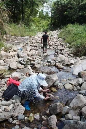 浙江溪滩现神秘石头 居民带磁铁挖宝(组图)