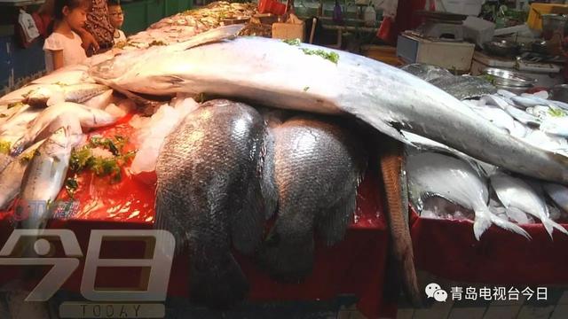 青岛市场现百斤重巨型鲅鱼 竖起来比一般人高