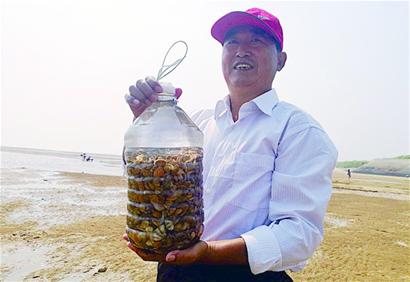 黄岛浅海蛤蜊一小时挖七八斤 市民乐得合不拢嘴
