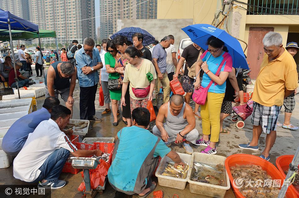 组图：青岛渔民捕获野生虾王 26公分仅售50元