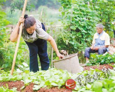 失明丈夫背腿脚不便妻子29年 从没说过一个爱字