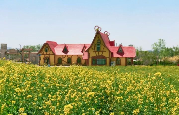 赶快收藏！青岛初秋周边游超强攻略出炉