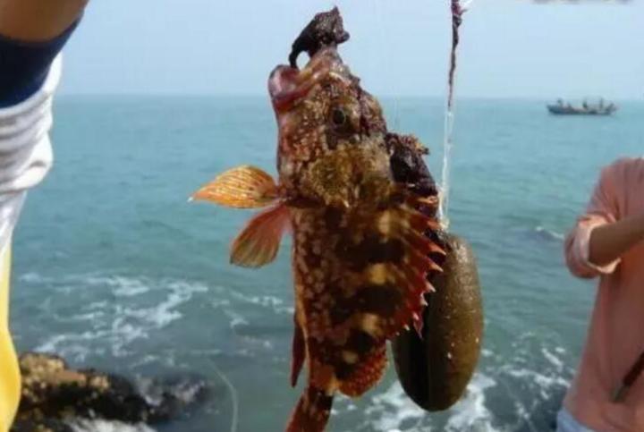 赶快收藏！青岛初秋周边游超强攻略出炉