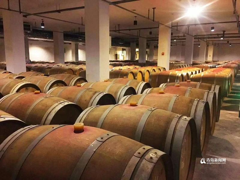 德国博士钟情青岛莱西 1亿欧元打造葡萄酒庄