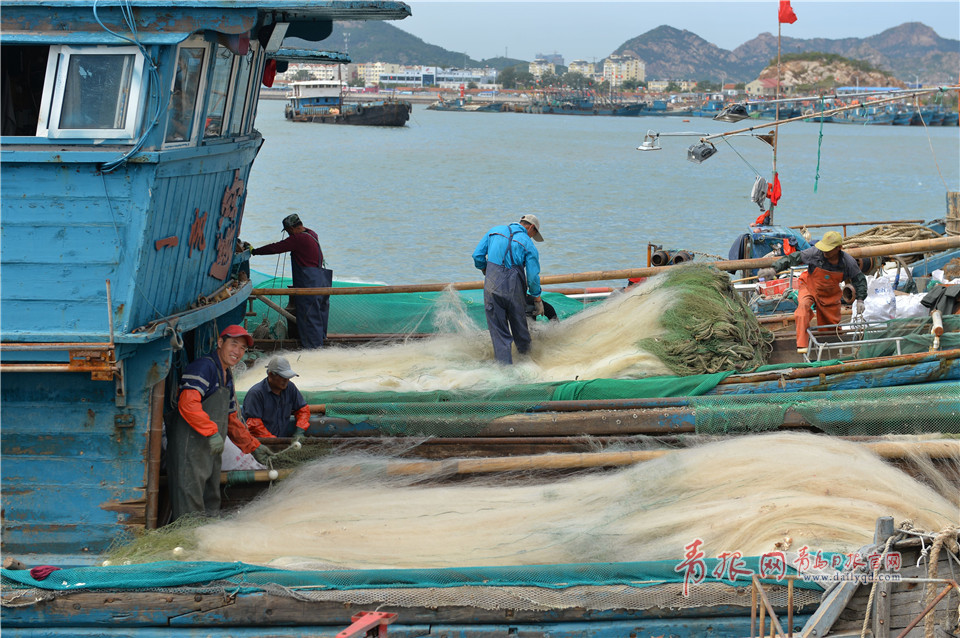 又是菊黄蟹肥时 一斤多重螃蟹抢滩青岛节日市场