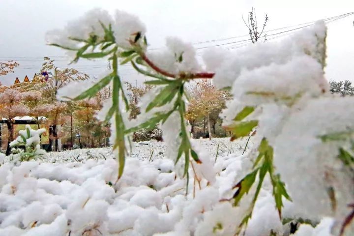 国庆多地气温骤降10℃ 东北地区局地已降至零下