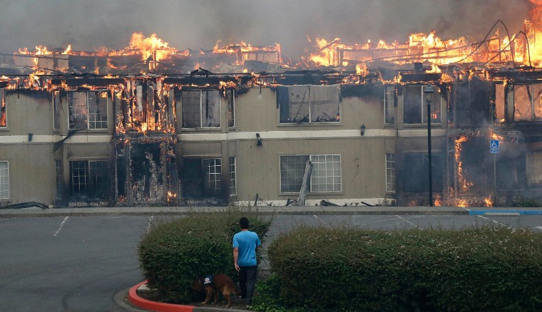 美加州大火已致17人死 平均3秒烧掉一个足球场