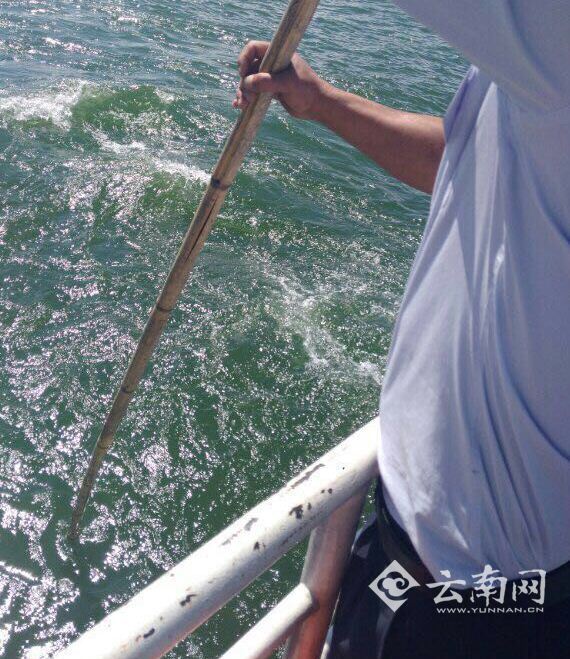 游客乘游轮拍照手机掉入洱海 欲跳海寻机被劝回
