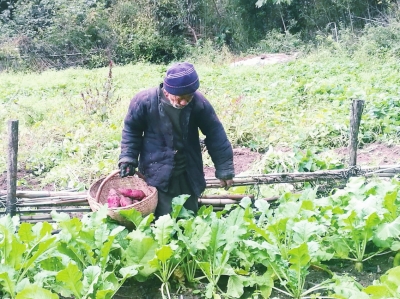 游客在深山向老人讨水喝 此后6年给其送米面钱