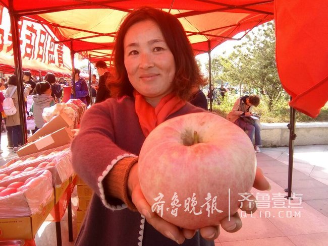 一个苹果重达1斤3两多 平度旧店选出最大苹果