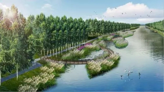 【砥砺奋进】平度"新农人":在全国闯出名堂 【砥砺奋进】平度"新农人":在全国闯出名堂