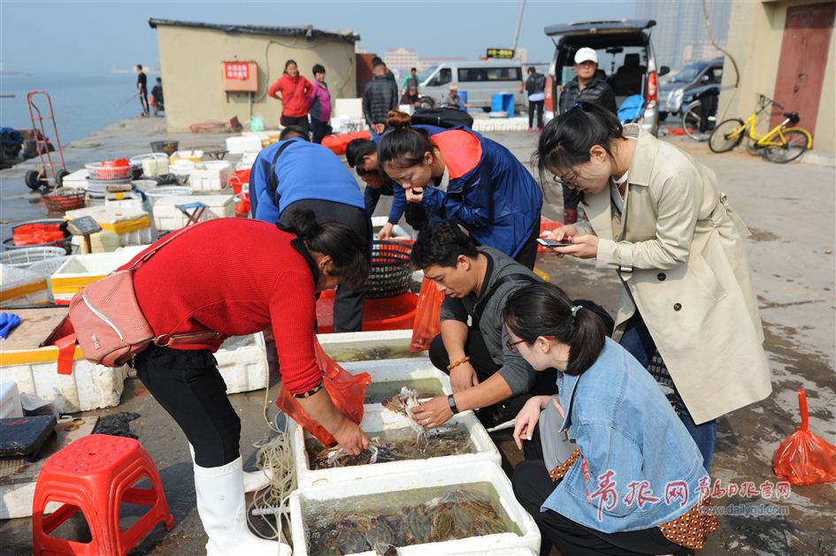 青岛渔港现紫壳梭子蟹 渔民称味道与普通蟹无异