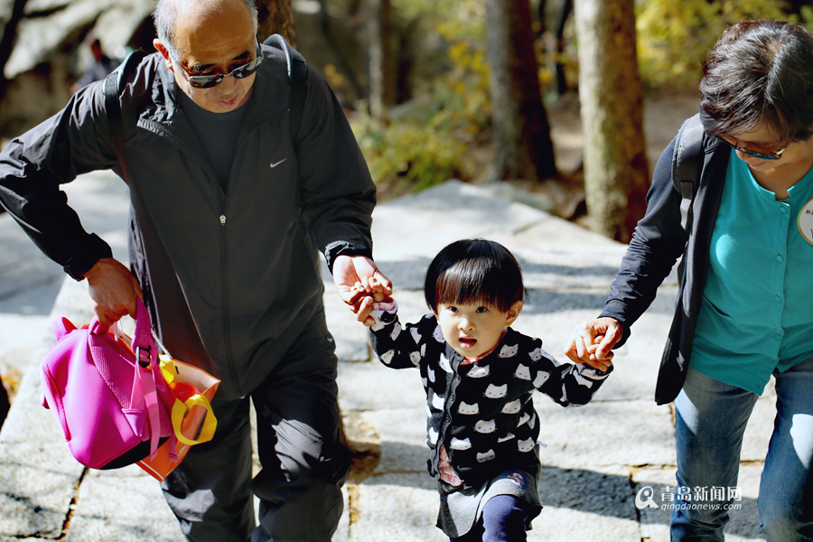 首届秋韵崂山市民旅游季开启 百余家庭快乐开爬