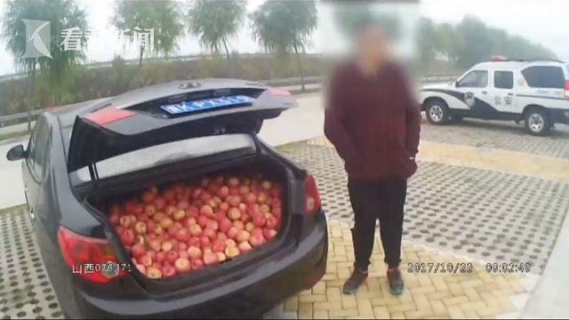 三名男子高速停车 趁大雾半小时偷摘480斤苹果