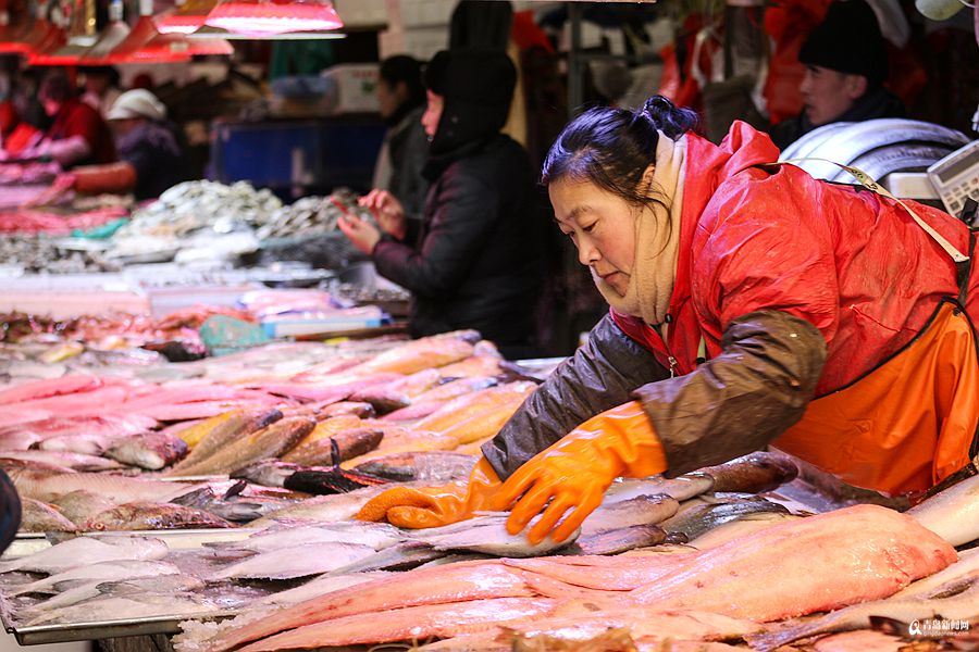 高清：腊月里逛市场买海鲜 种类太多看花眼