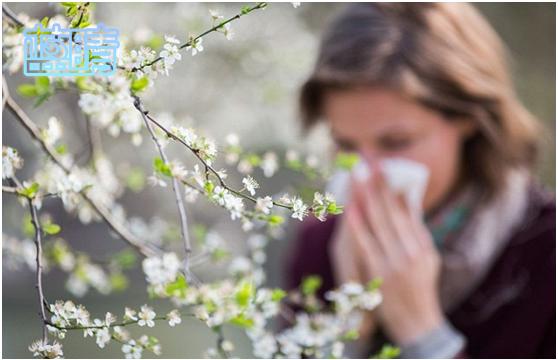 百花待放 过敏性鼻炎患者小心花粉症