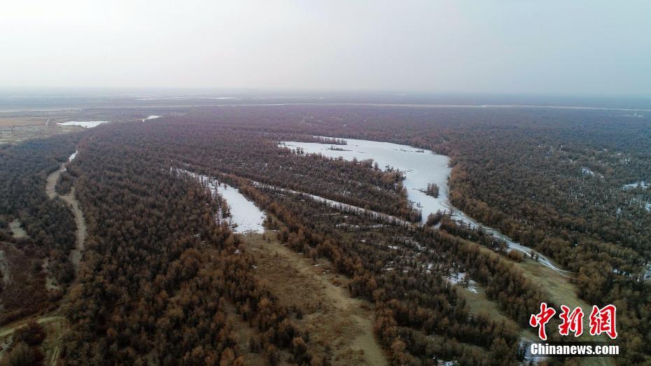 航拍中国最长内流河塔里木河千里冰封景观