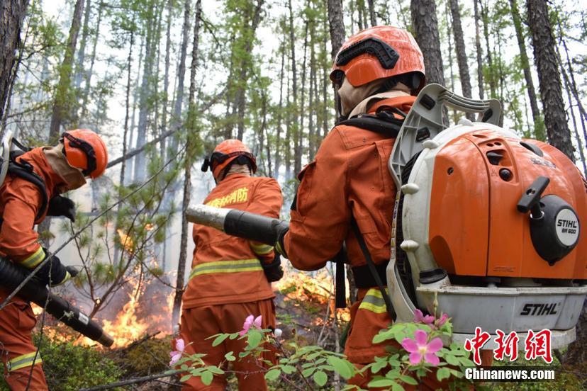 内蒙古大兴安岭林区一日发生三起森林火灾