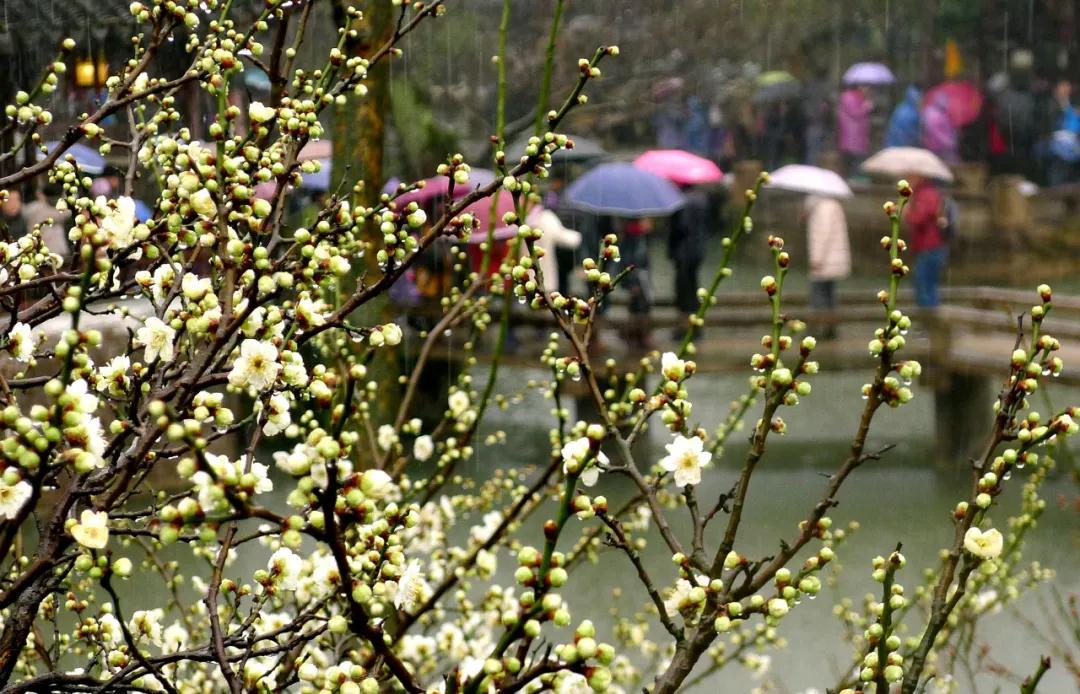 |雨水节气天渐暖雨渐多 乍暖还寒谨防感冒