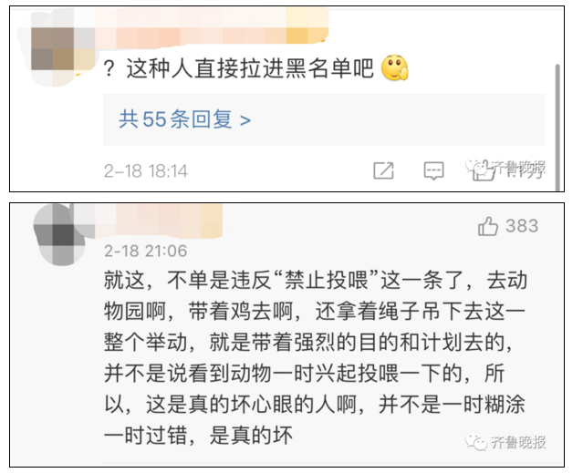 |游客“钓老虎”致其重摔 动物园：游客自己带的鸡