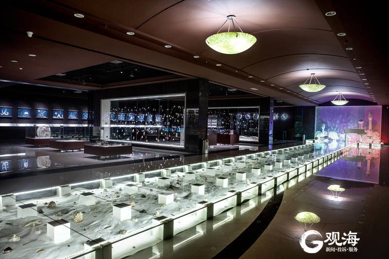 青岛贝壳博物馆新馆预计今年竣工 将成世界最大