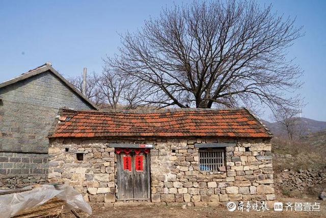 打卡经山历海取景地百年石屋千年楷树就在五莲房家沟村