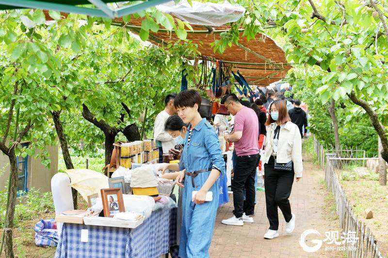 没有“人从众” 来灵山卫邂逅雨后“杏运市集”