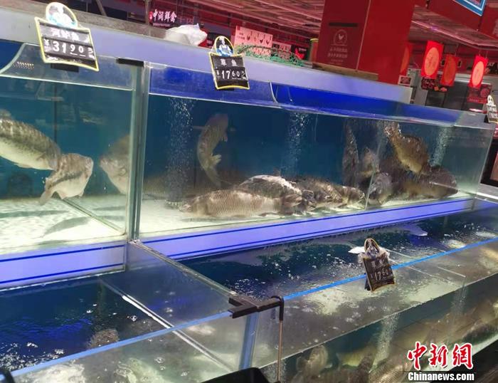 北京市丰台区一家超市水产区。 <a target='_blank' href=' >中新网</a>记者谢艺观摄
