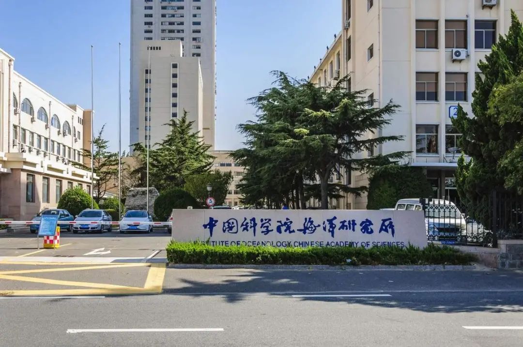 好看、好玩、好学!这个连续举办了20届的盛会 在青岛刮起“科技旋风”