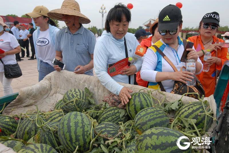 “瓜王”重达14.25公斤 青岛这个地方的西瓜节开幕了