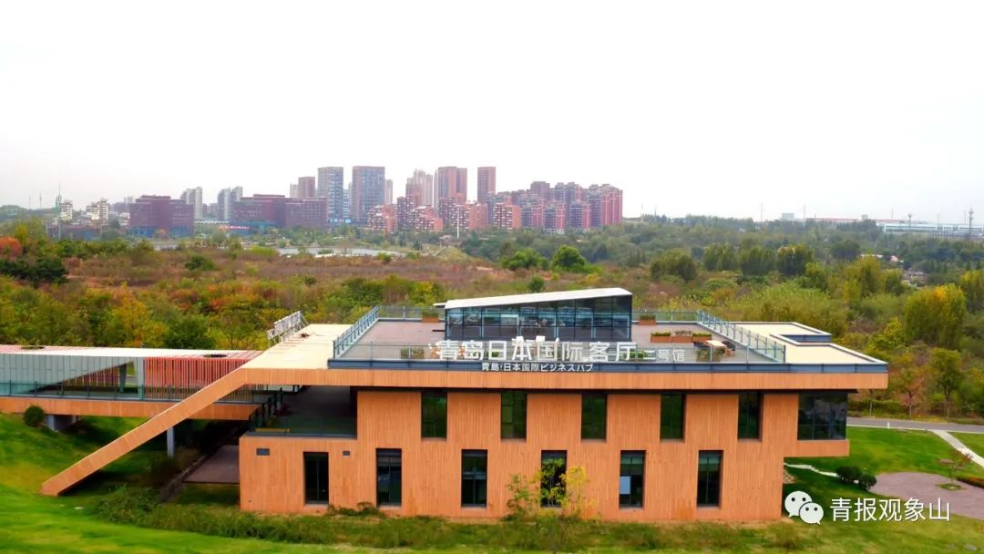 对标浦东新区,打造全省标杆!山东为青岛这个区“量身定制”发展大计