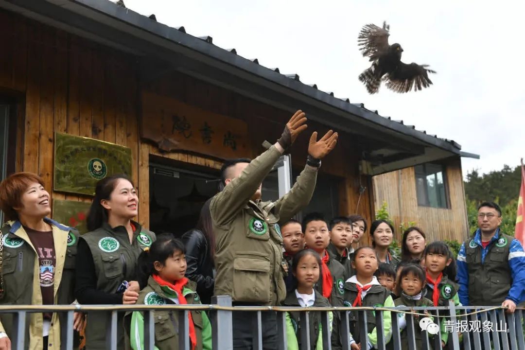 全省动员,奋力绘就绿水青山齐鲁画卷!青青之岛要率先而为,做最亮底色