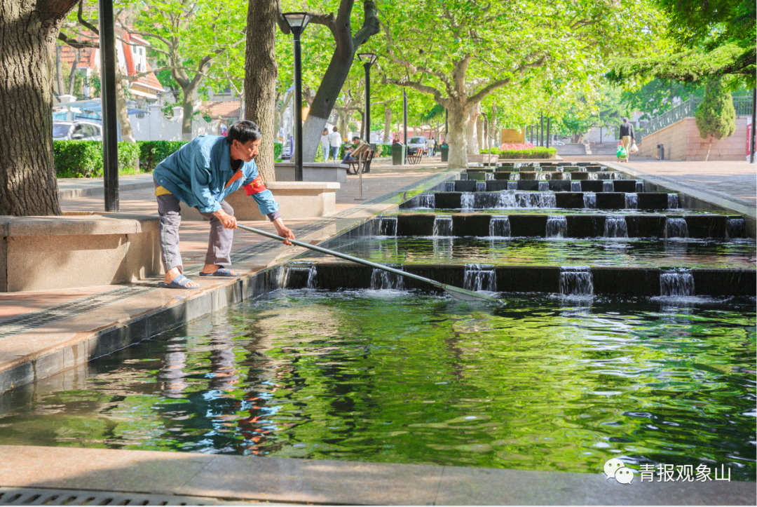 全省动员,奋力绘就绿水青山齐鲁画卷!青青之岛要率先而为,做最亮底色