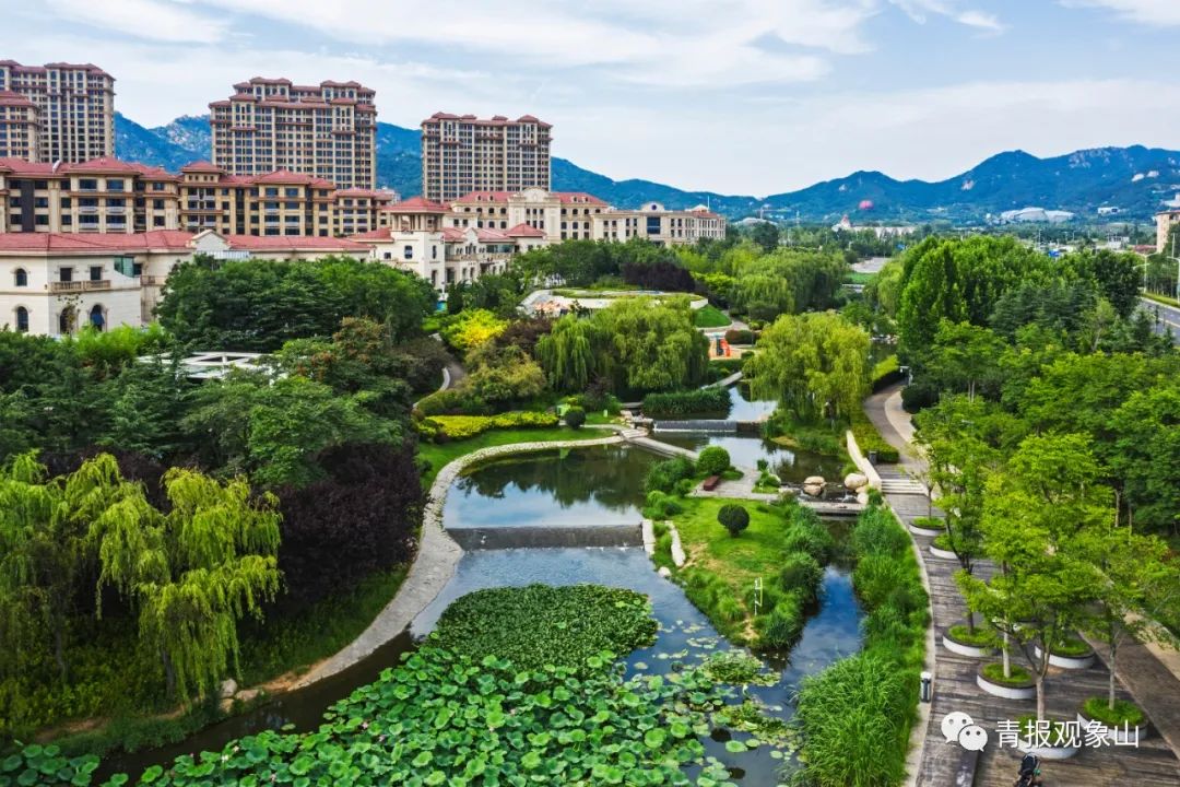 全省动员,奋力绘就绿水青山齐鲁画卷!青青之岛要率先而为,做最亮底色