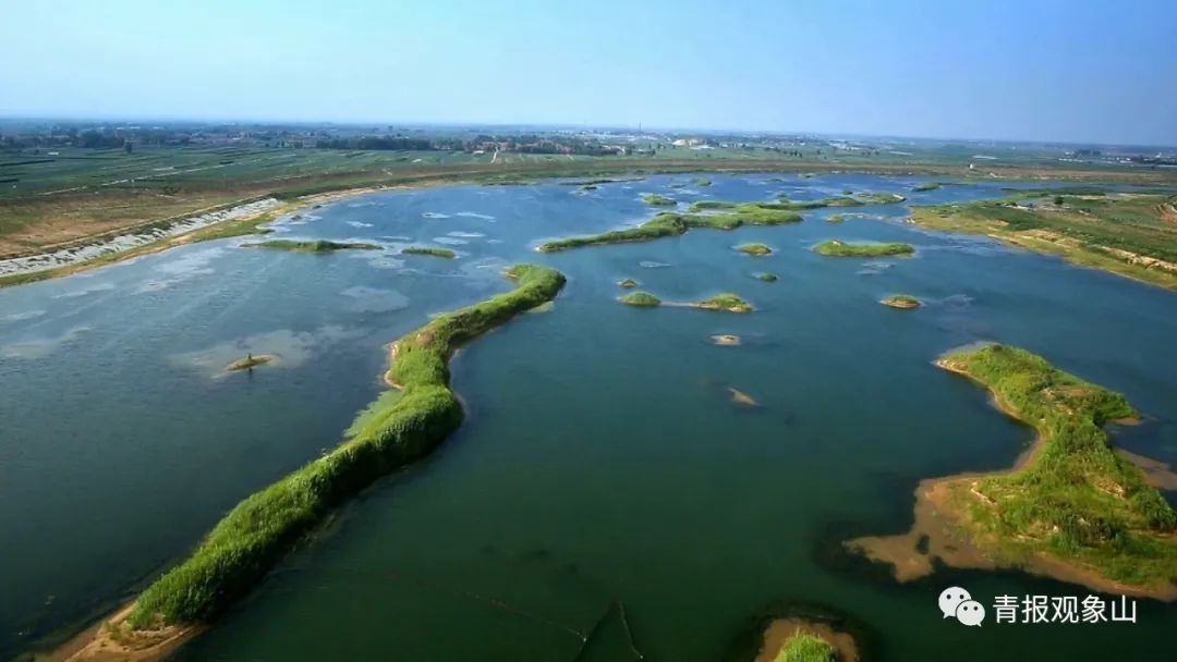 全省动员,奋力绘就绿水青山齐鲁画卷!青青之岛要率先而为,做最亮底色