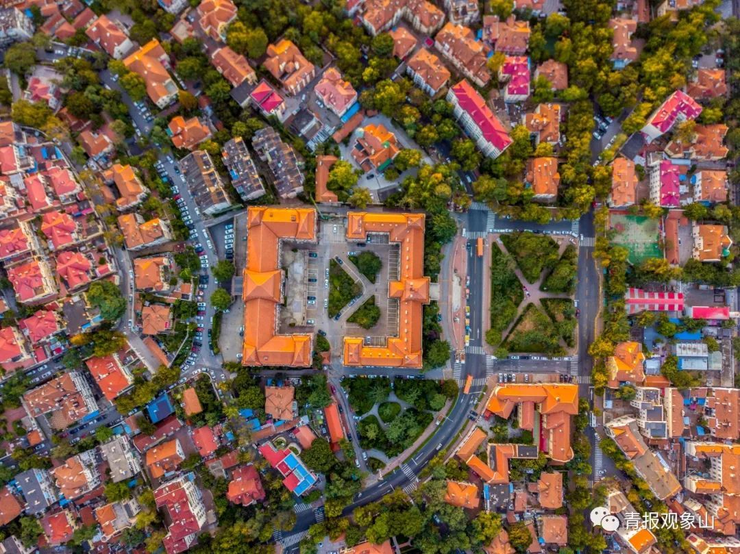 全省动员,奋力绘就绿水青山齐鲁画卷!青青之岛要率先而为,做最亮底色