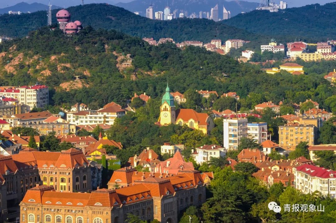 全省动员,奋力绘就绿水青山齐鲁画卷!青青之岛要率先而为,做最亮底色