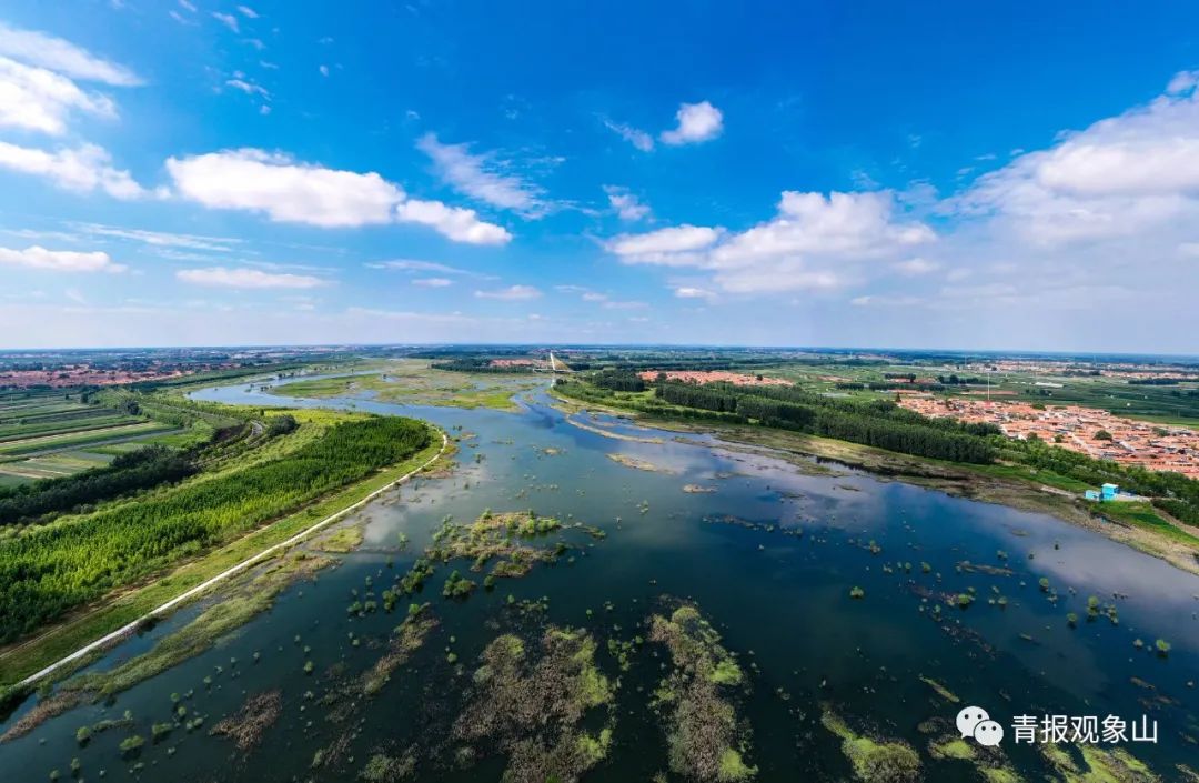 全省动员,奋力绘就绿水青山齐鲁画卷!青青之岛要率先而为,做最亮底色